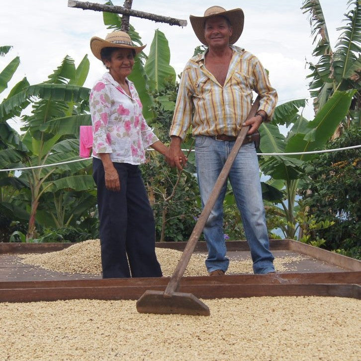 Colombia SUPREMO SC17/18 HUILA (Gpro)