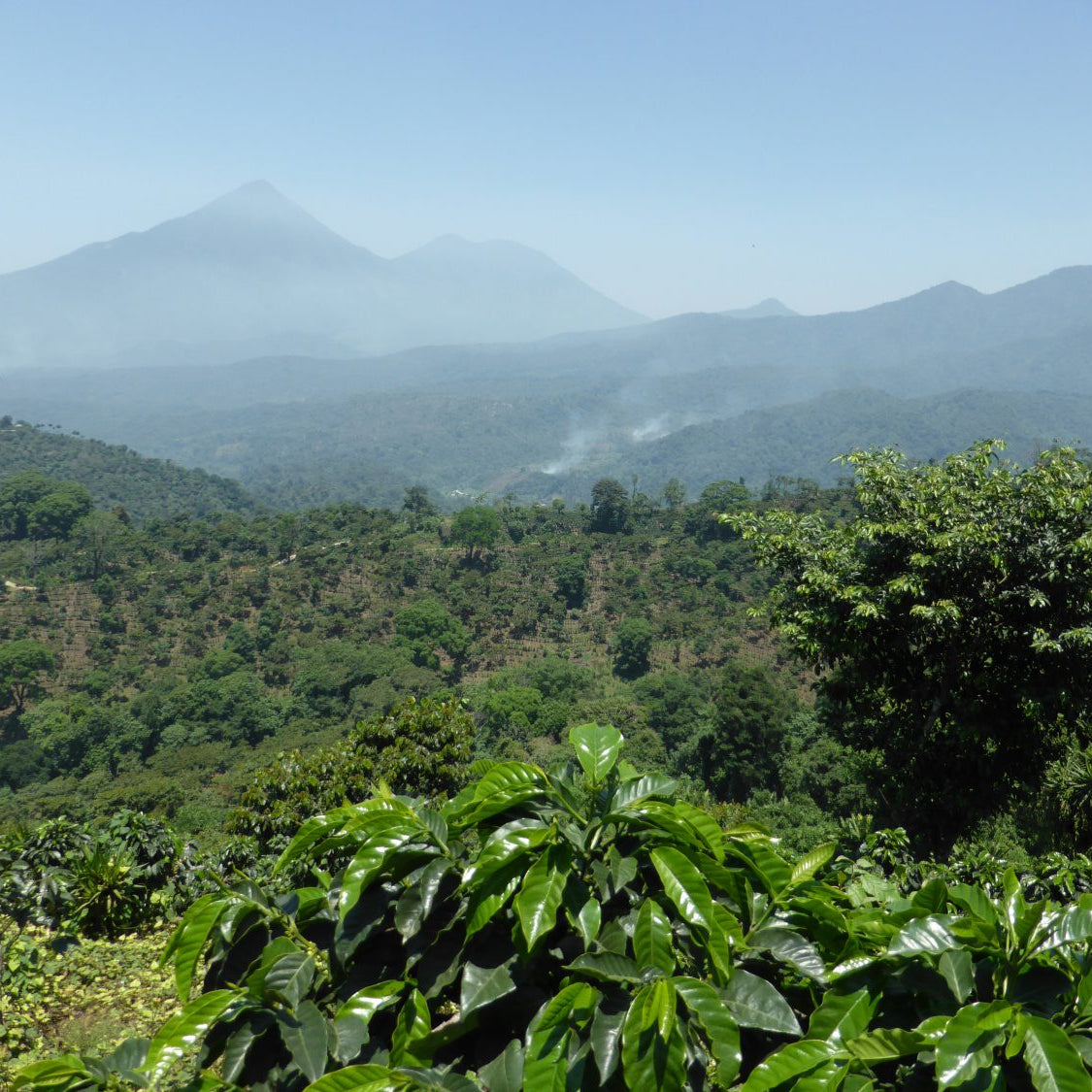 Guatemala Antigua Santo Domingo SHB