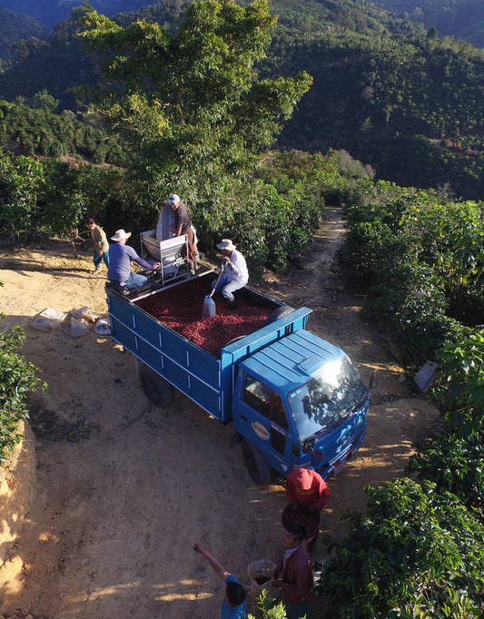 Costa Rica Terrazú San Rafael (Gpro)