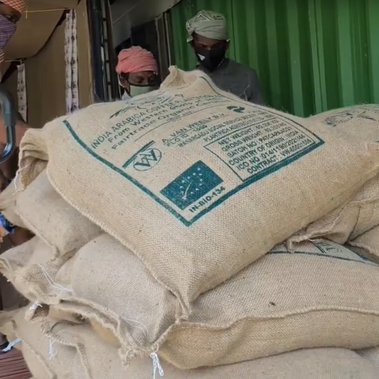 India Monsoon Malabar AA