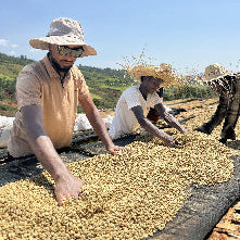 Ethiopia Yirgacheffe G2 Washed - Mokonisa Wash Station